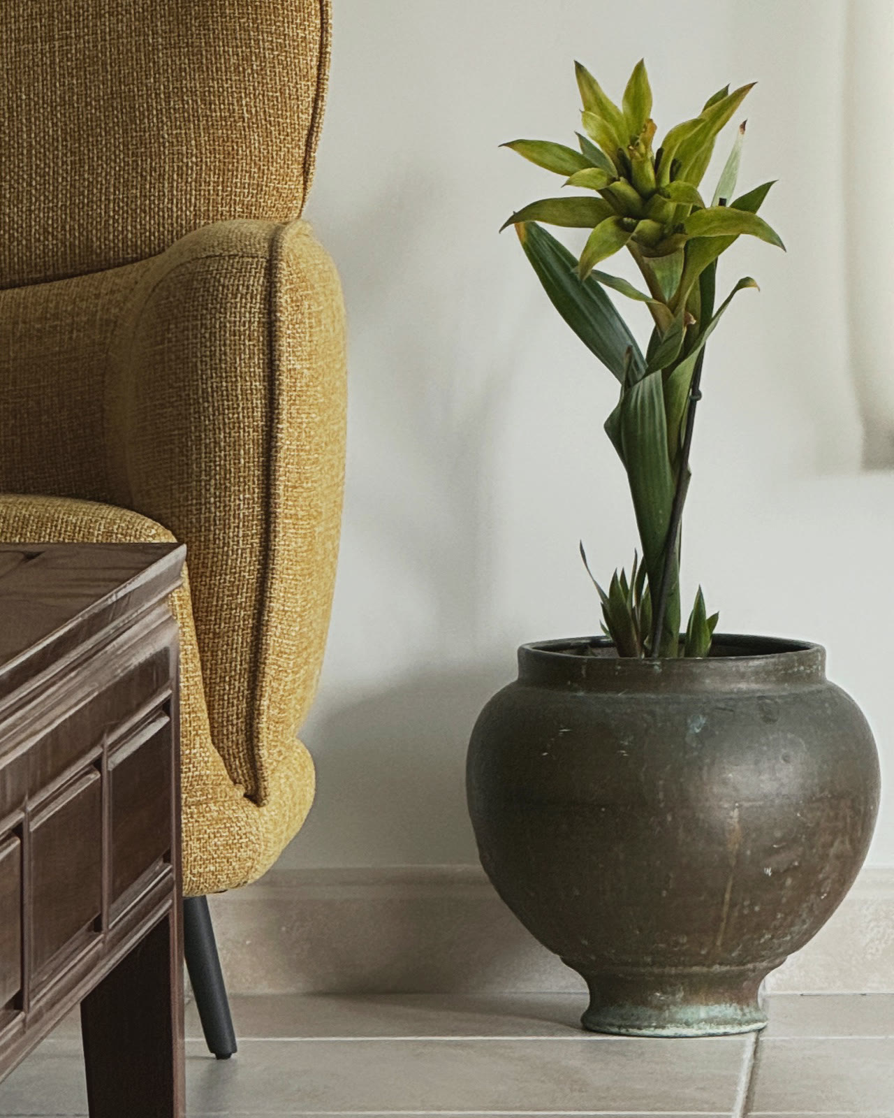 A quiet corner of a finished room — an armchair, a plant, clean light on a freshly painted wall